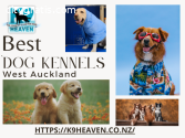 Best Dog kennels In west Auckland