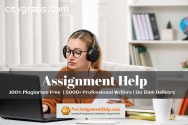 Best University Assignment Help