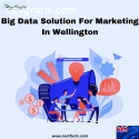 Big Data Service For Marketing In Wellin