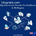 Big Data Service Provider For Healthcare