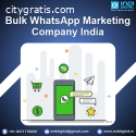 Bulk WhatsApp marketing Company India