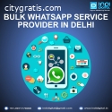 bulk whatsapp service provider in delhi