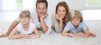 Carpet Cleaning Auckland Central-Call at