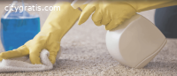 Carpet & Upholstery Cleaning Services |