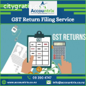GST Return Filing Service: