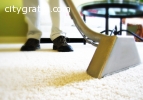 Highly Trained Carpet Cleaning Brisbane