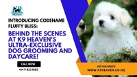 ? Introducing Codename Fluffy Bliss: Be