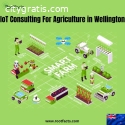 IoT Consulting For Agriculture in Wellin