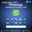 One of the best company for WhatsApp mar