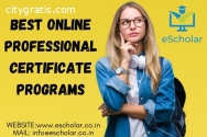 Professional Certificate Programs