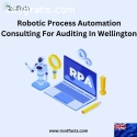 Robotic Process Automation Consulting Fo