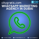 whatsapp marketing agency in dubai
