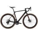 2023 Canyon Endurace (WAREHOUSEBIKE)