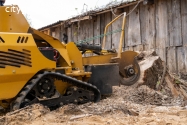 Affordable Tree Stump Grinding & Removal