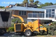 Auckland Tree Services & Trimming Availa