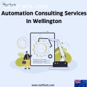 Automation Consulting Services In Wellin