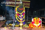 Best Astrologer in India