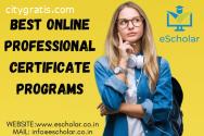 Best Online Professional Certificate