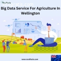 Big Data Service For Agriculture In Well