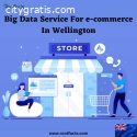 Big Data Service For e-commerce In Welli