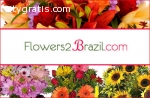 Brazil Florist Send Flowers to Brazil