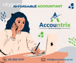 Budget Buddy Your Affordable Accountant