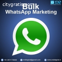 Bulk WhatsApp Marketing
