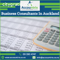 Business Consultants In Auckland: