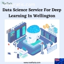 Data Science Service For Deep Learning I