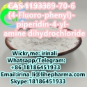 dihydrochloride CAS 1193389-70-6