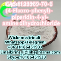 dihydrochloride CAS 1193389-70-6