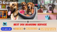 Dog Boarding Service