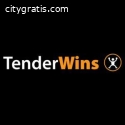 Expert Bid Writing & Design