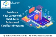Fast-Track Your Career with Short-Term P