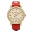Find Now Online Coach Watches for Men in