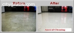 Floor Polishing Service