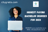 Highest Paying Bachelor Degrees