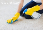 Highly Trained Carpet Cleaning Brisbane