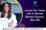 Launch Your Career with In-Demand Diplom