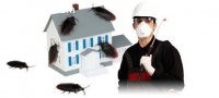 Look for Pest Control Company in Hamilto