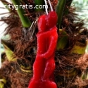 Lost Love Spells That Makes Your Partner
