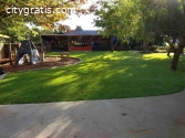 Low-Maintenance Lawns: Artificial Grass