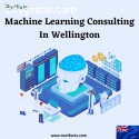 Machine Learning Consulting In Wellingto