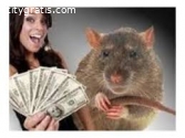 MAGIC RATS THAT BRINGS CASH +2778539292