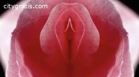 Natural Vaginal Tightening Products call