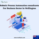 Robotic Process Automation consultants F