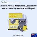 Robotic Process Automation Consultants F