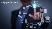 Role of experienced IT professionals for