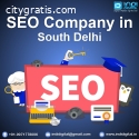 seo company in south delhi