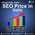 seo price in delhi